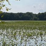 Historic Smithville Park