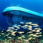 Atlantis Submarines Waikiki