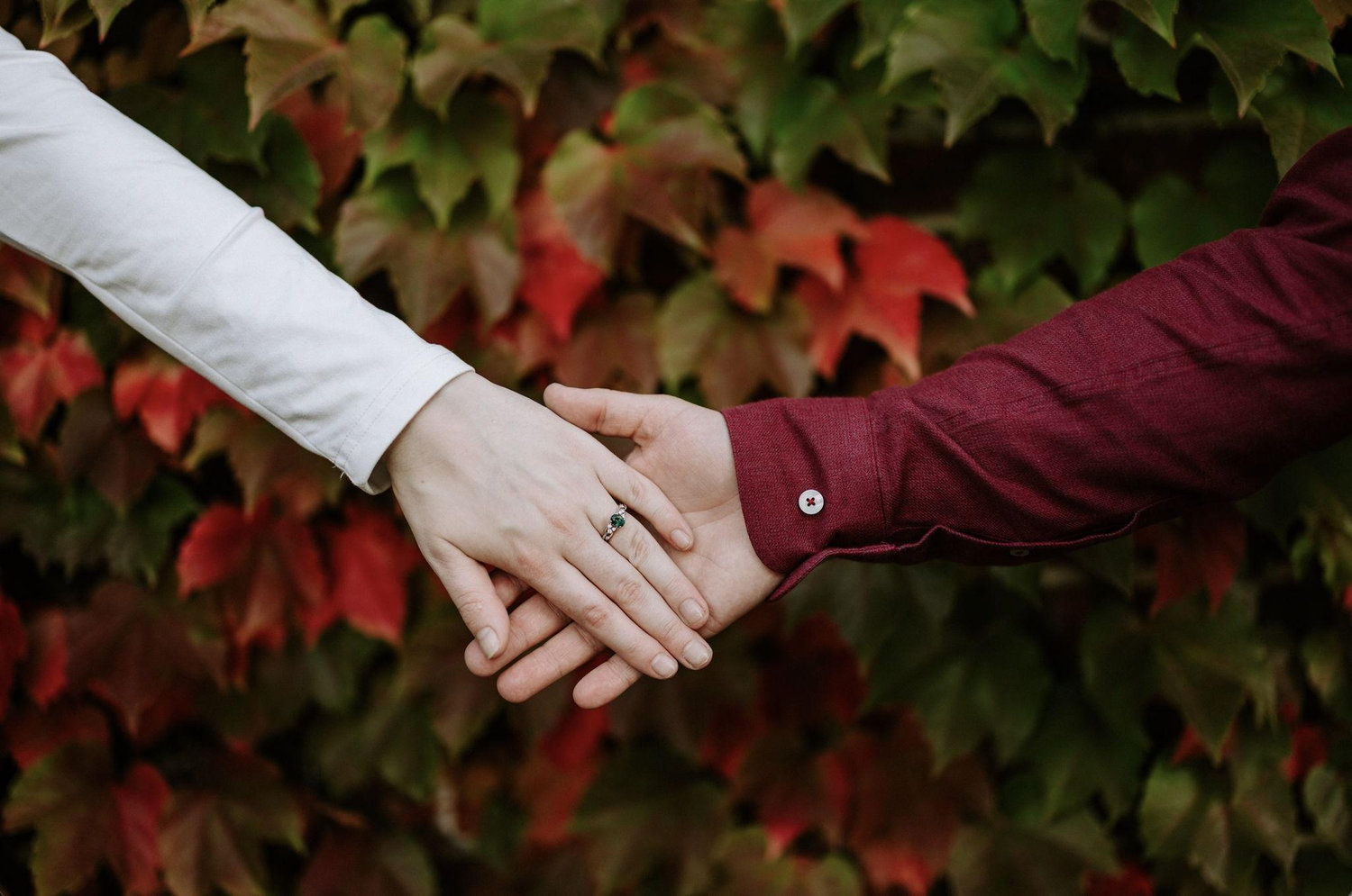 The Wedding Website of Emily McBride and Christian Reed