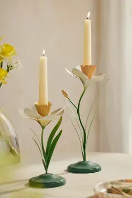 Daffodil Taper Holder