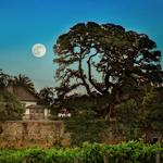 Jack London State Historic Park