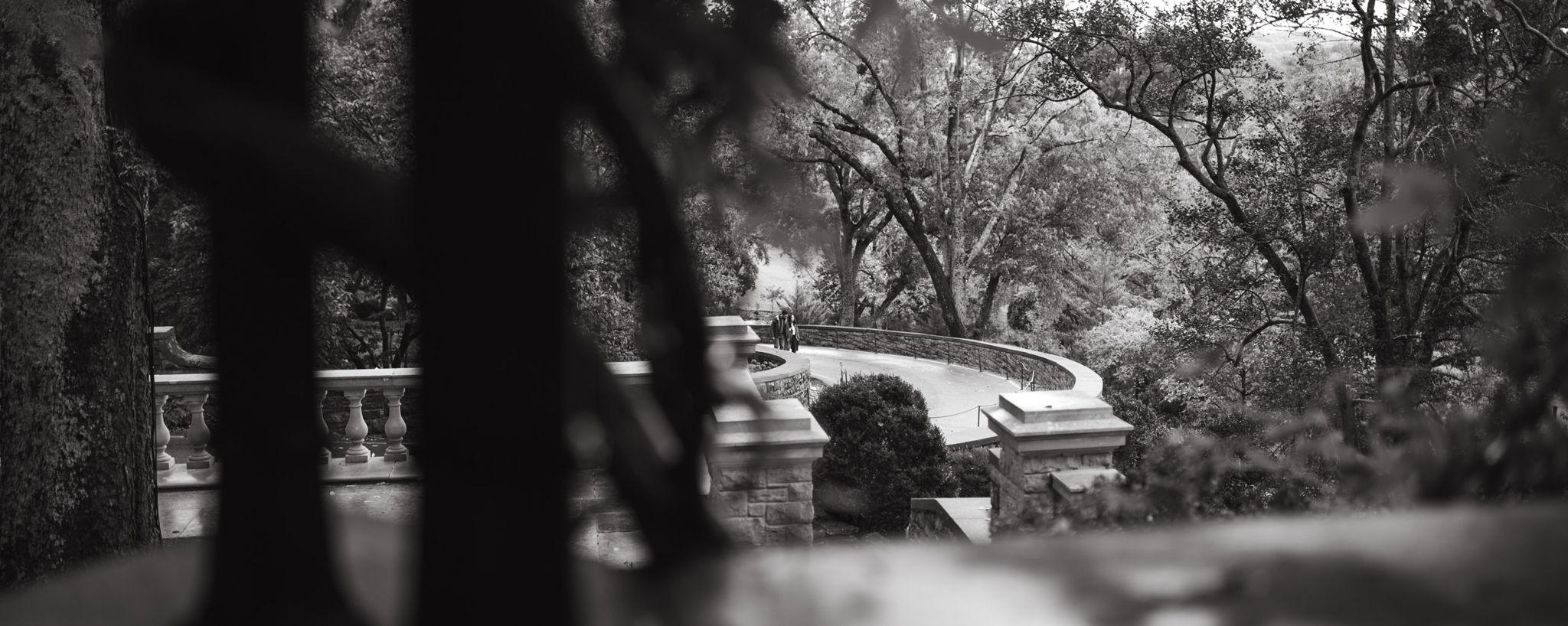 2056b18b-9dde-4245-ae5d-2ba519e68482