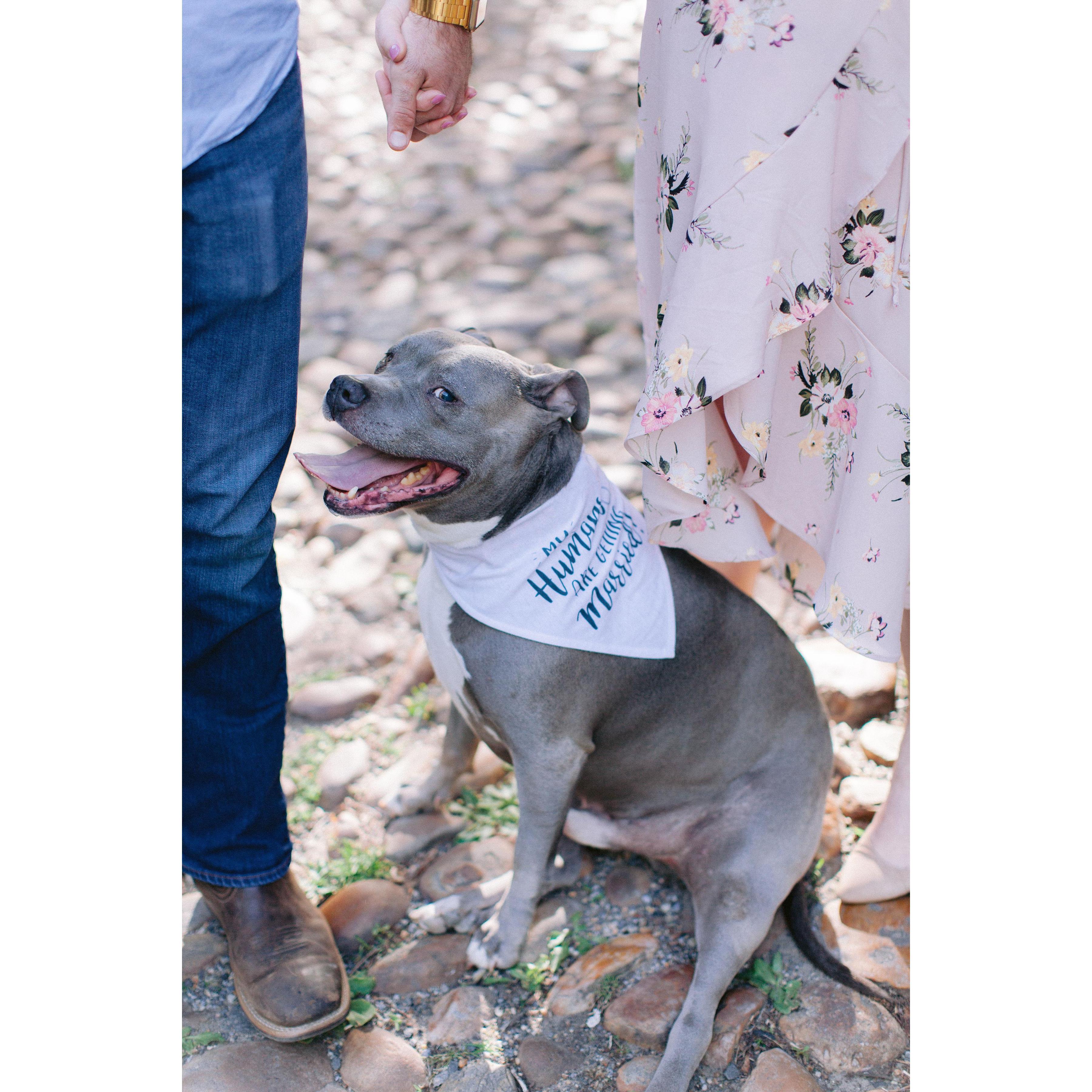 Nikki Santerre Photography