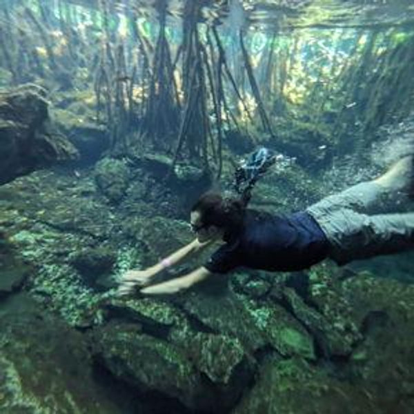 Tokashiki Island Turtle Snorkeling Tour