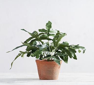 Faux Potted Kangaroo Paw Fern