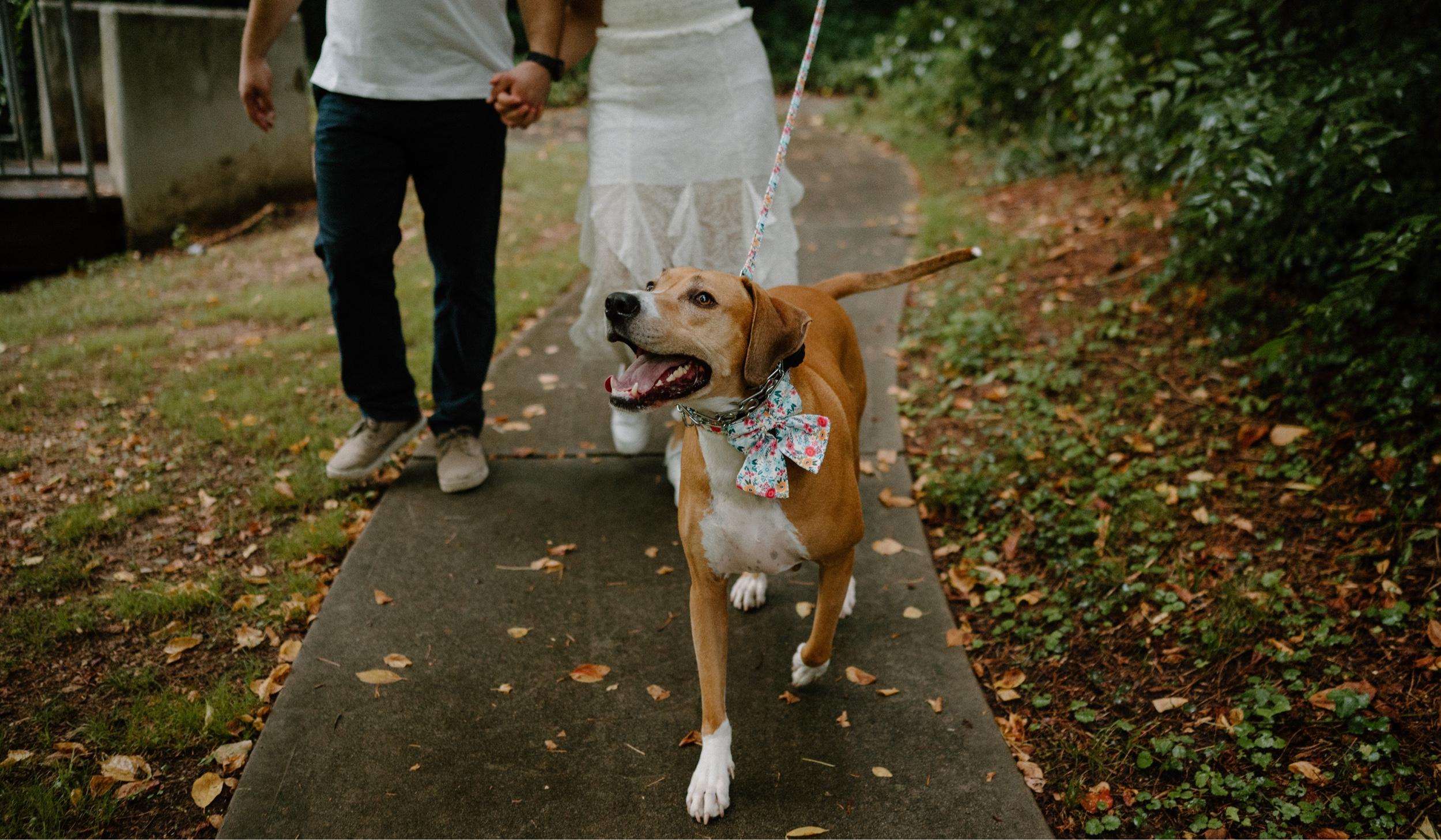 The Wedding Website of Riley Ketcham and Dan Hicks