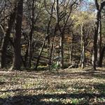 Dorothy Pecaut Nature Center