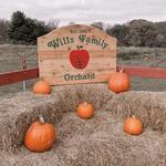 Wills Family Orchard