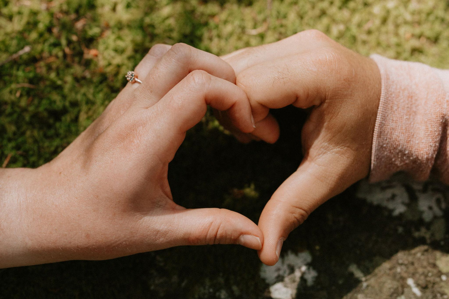 The Wedding Website of Alice Limoges and Andrew Todd