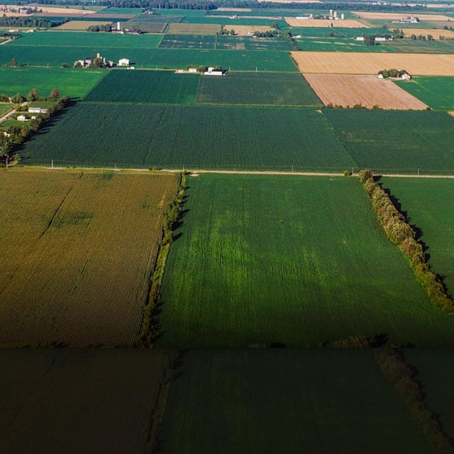 Land for our Dream Home