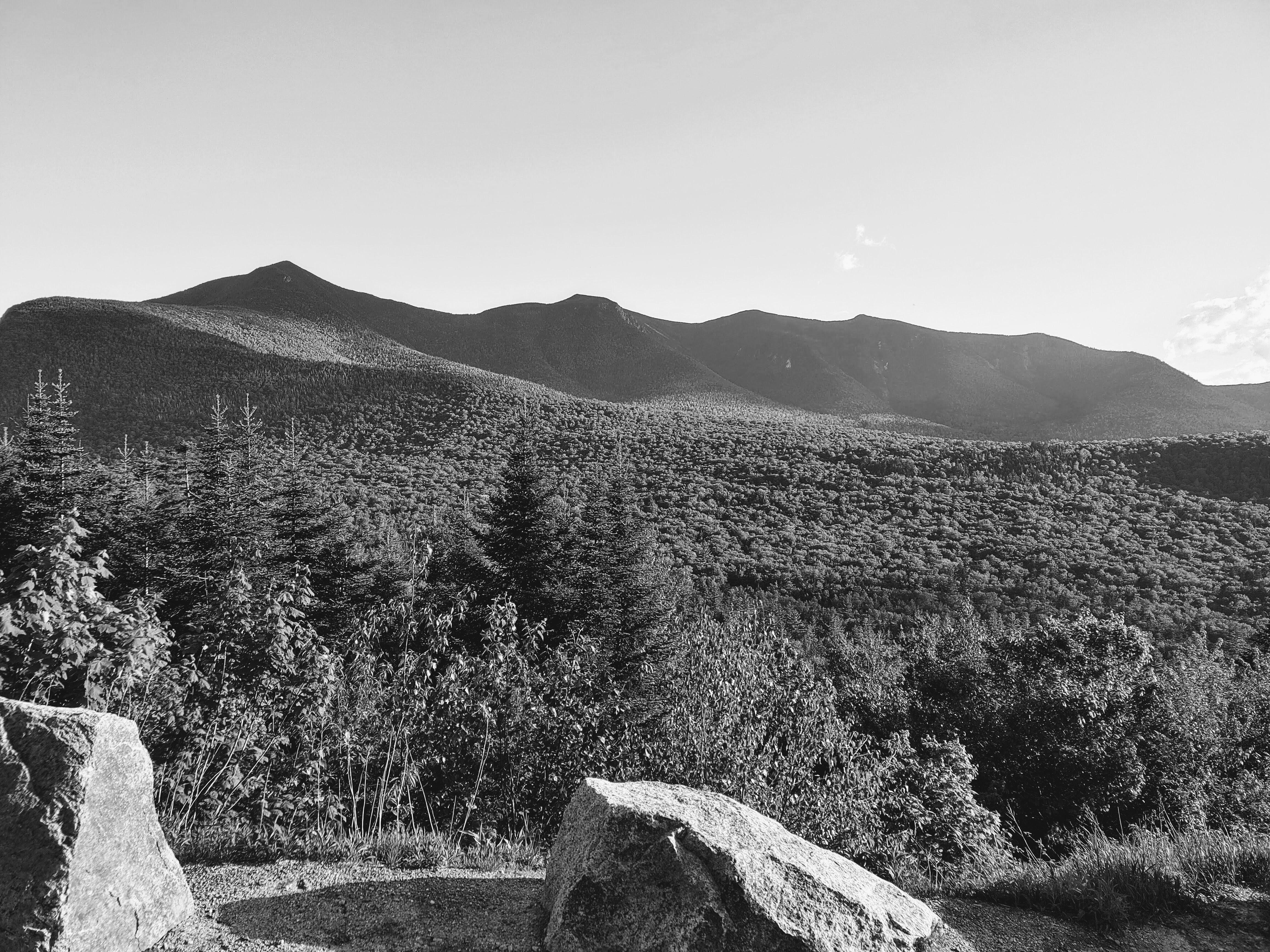 The Wedding Website of Seihla Matos and Brendan Coughlin