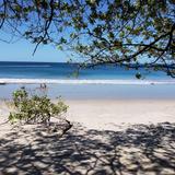 Flamingo Beach