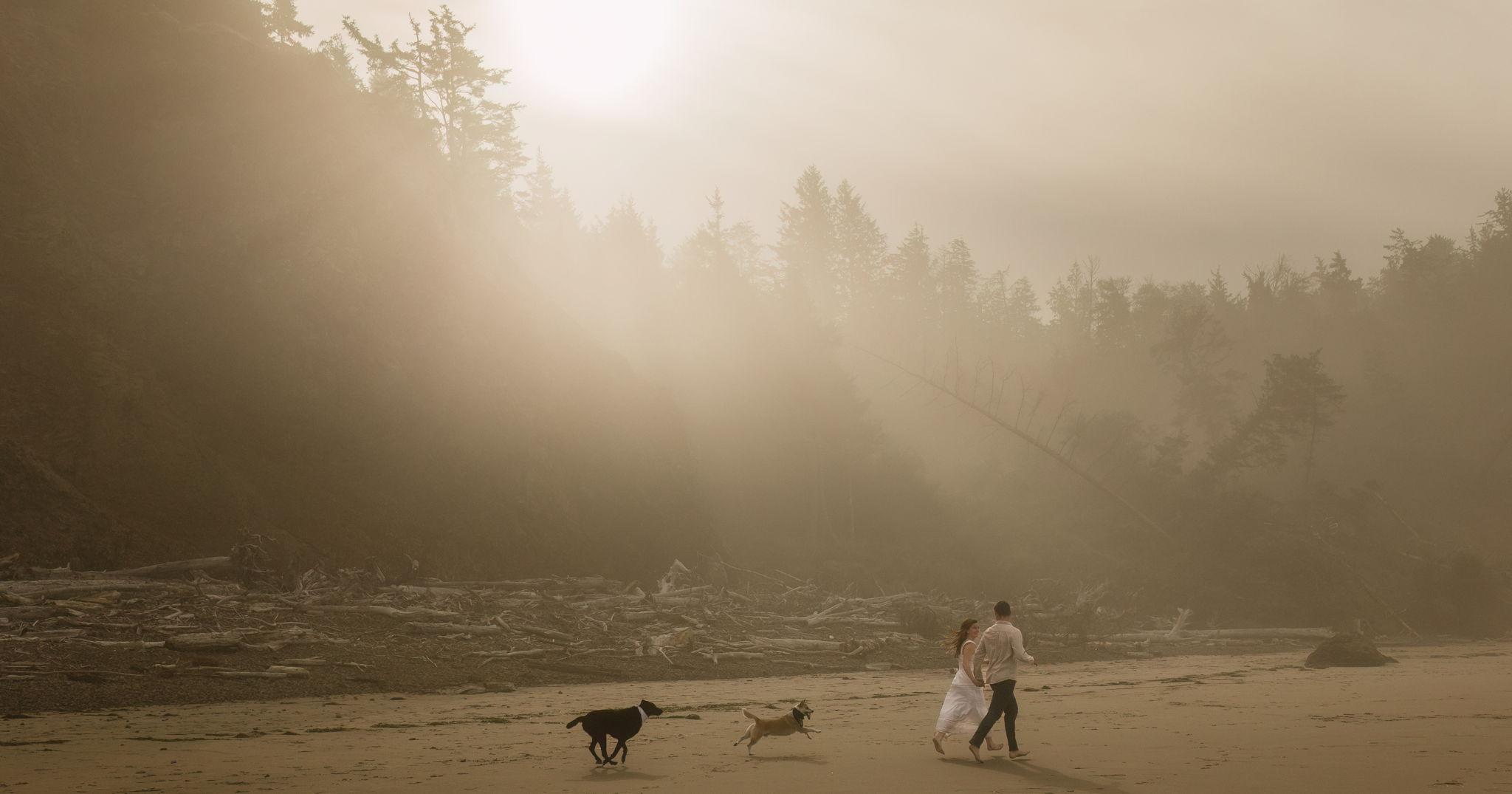 20628cdd-ad76-44c2-86d4-d948495daefd