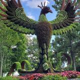 Atlanta Botanical Garden