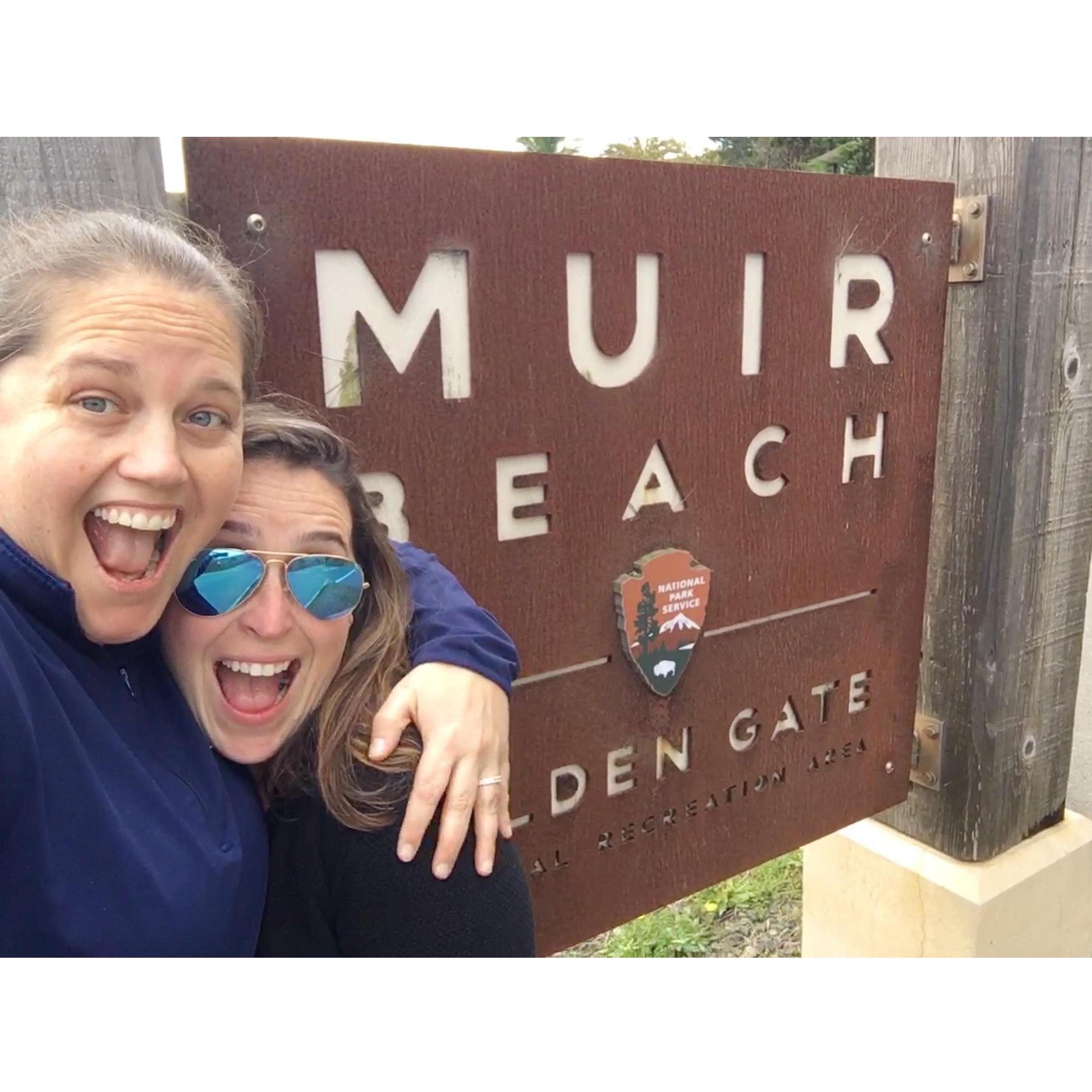 Beth counter-proposes to Liza at Muir Beach in California.