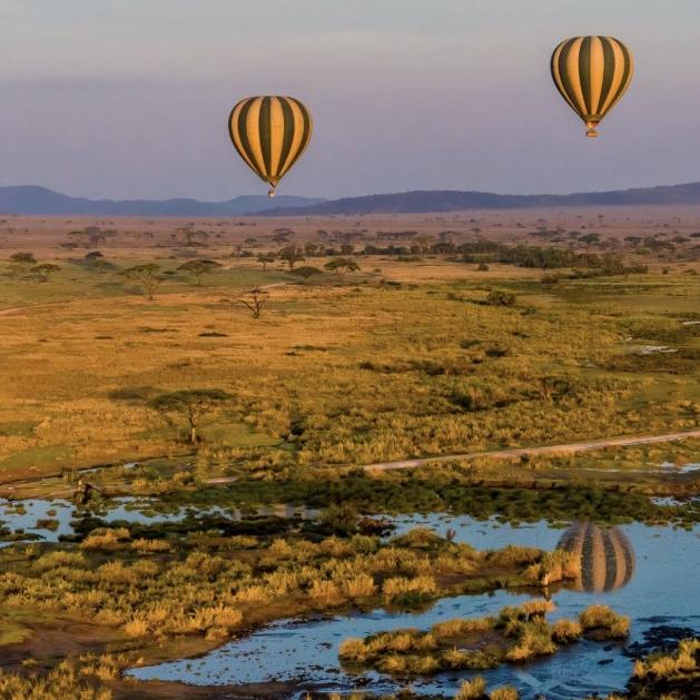 Serengeti Hot Air Ballon Ride