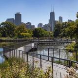 Nature Boardwalk at Lincoln Park Zoo