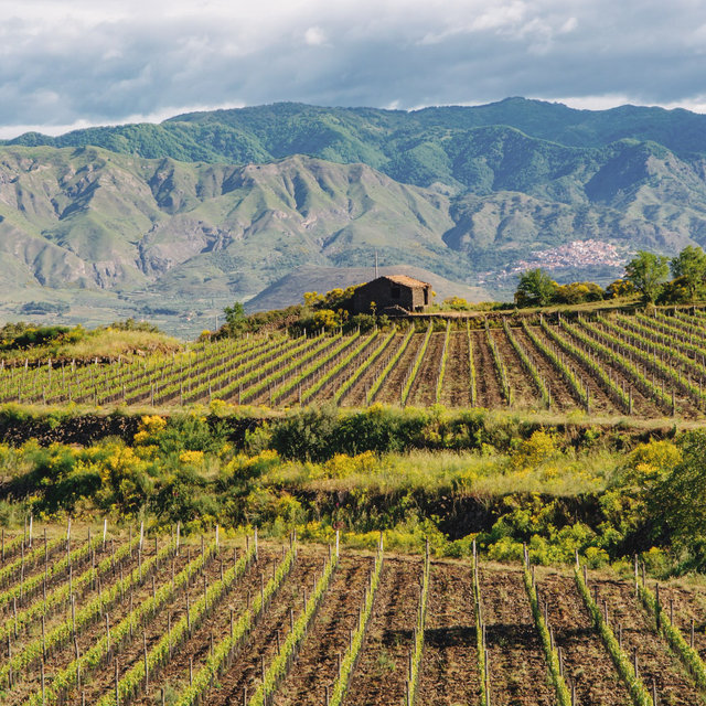 Mount Etna Volcano Tour & Wine Tasting