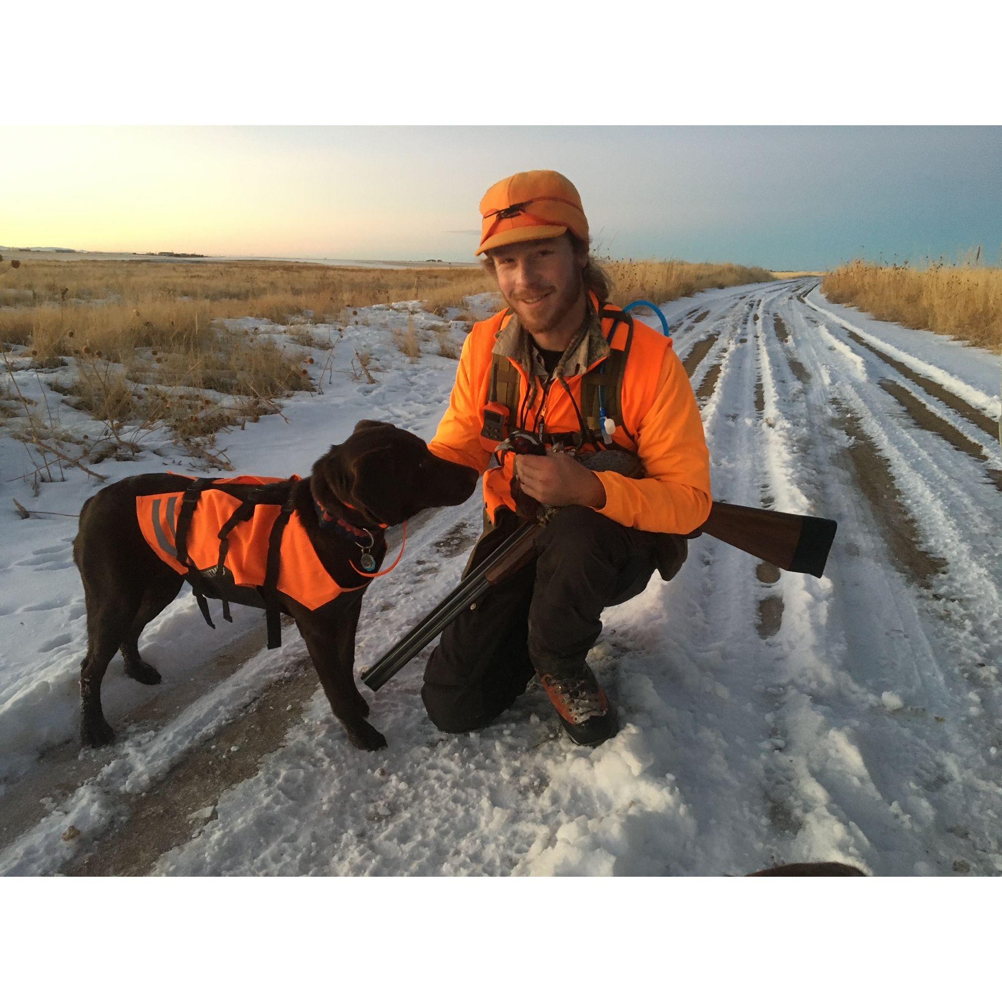 upland bird hunting