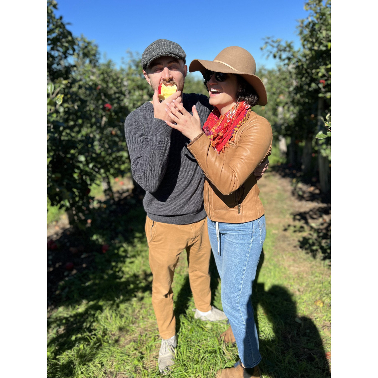 Apple picking, 2022