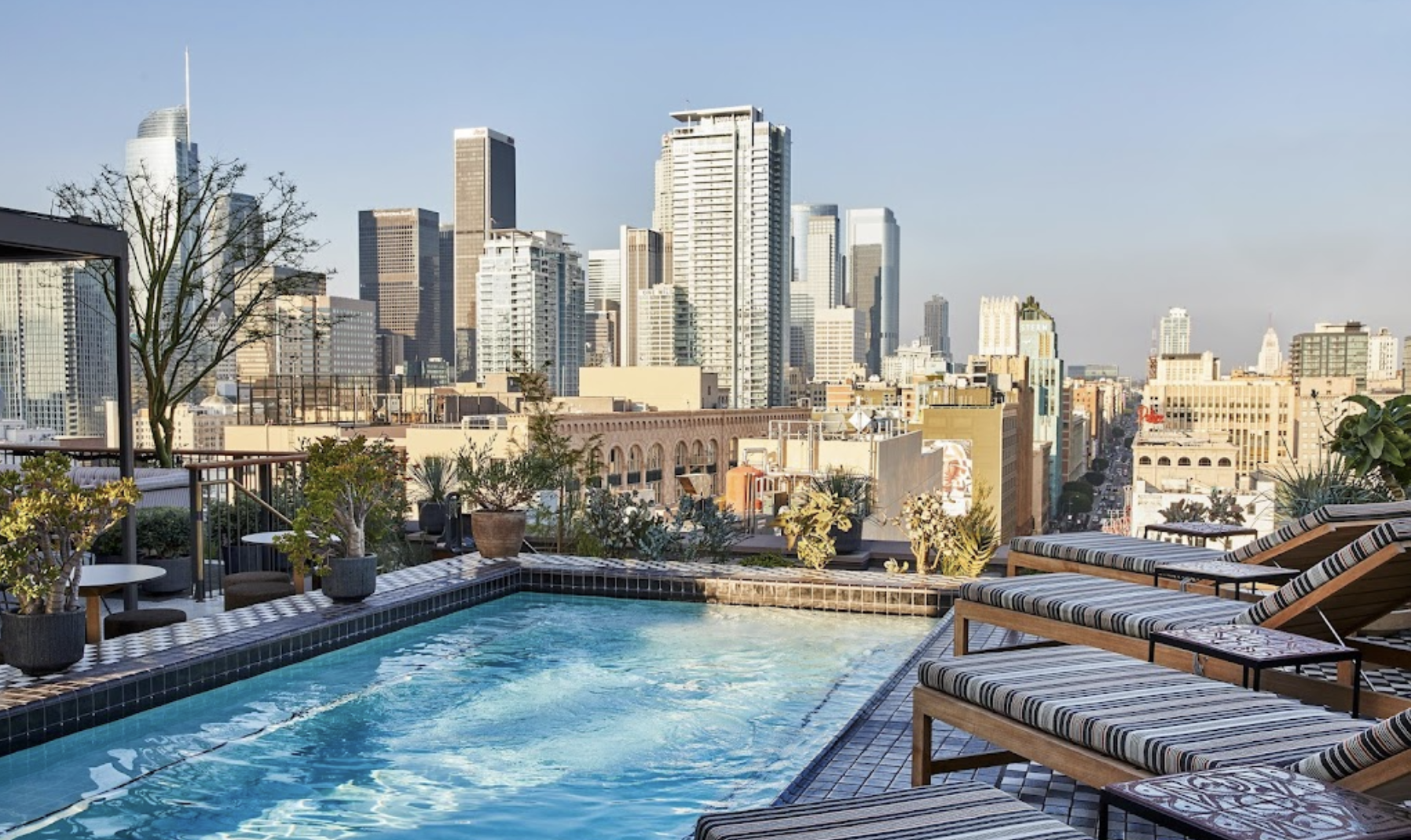 The Wedding Website of Camille White-Stern and Gabriel Arnold