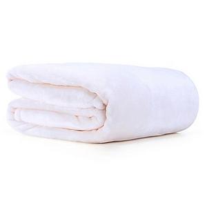 VelvetLoft® Plush Throw Blanket in Cream
