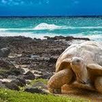 7. Galápagos Islands: