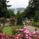 International Rose Test Garden