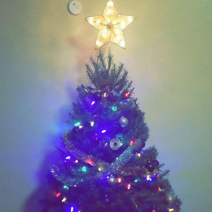Our first Christmas tree together 2020
