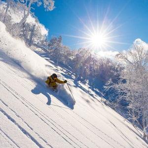 Ski Rentals at Rusutsu Mountain