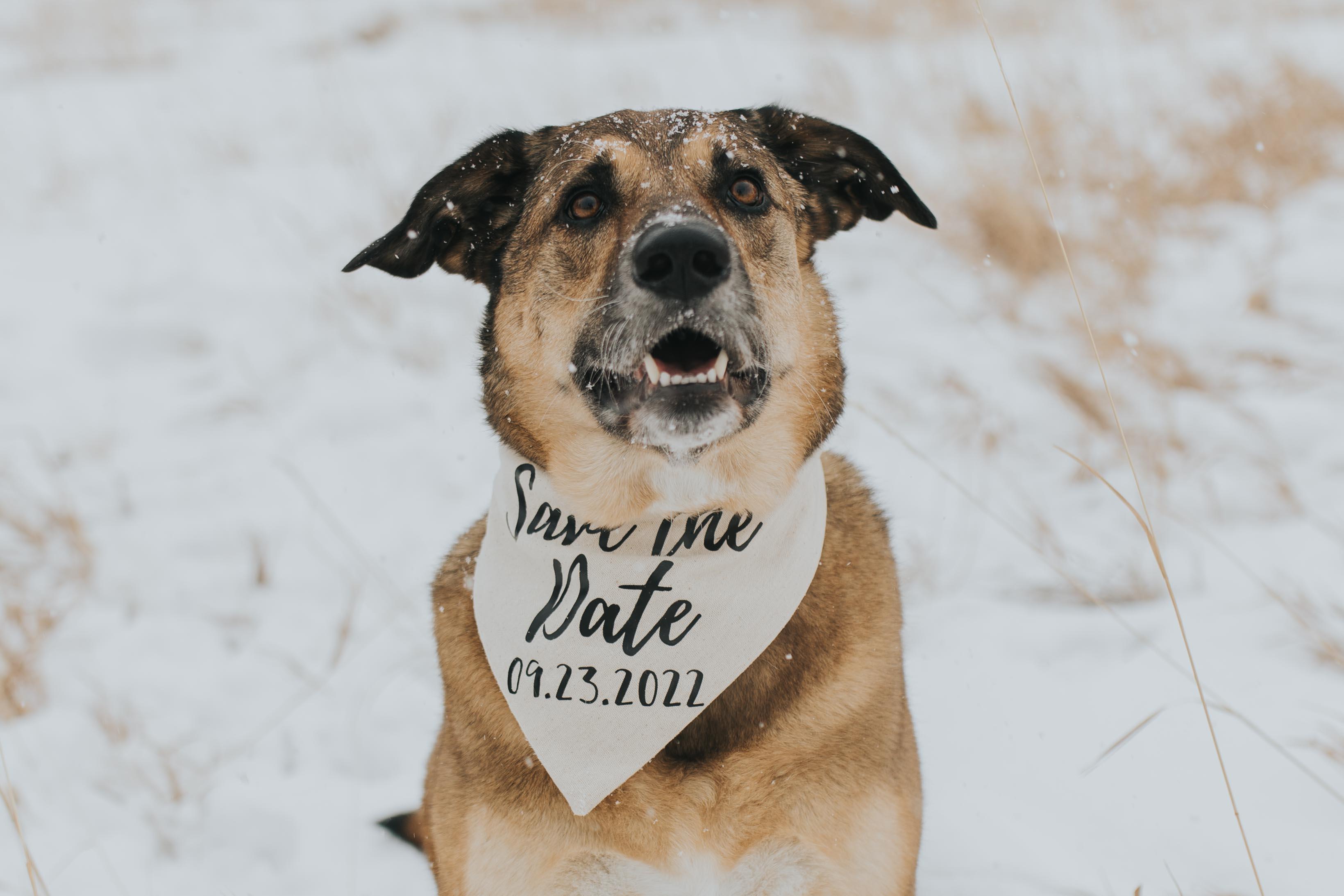 The Wedding Website of Jessica Marshall and Clayton Parks