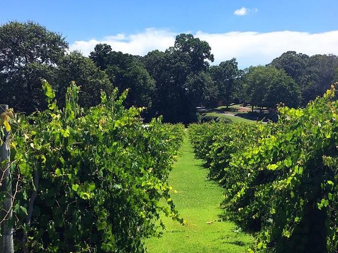 The Wedding Website of Amy Stalnaker and Mark Dion