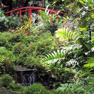 Diamond Botanical Garden