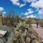 Arizona-Sonora Desert Museum