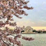 D.C.'s Historic Monuments & Memorials