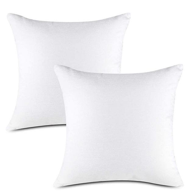 Inno Decorative Throw Pillow Cushion - 2 Pack Premium Down Alternative Microfiber Filled Sofa, Couch, Chair Inner Cushion, 20 x 20 inches