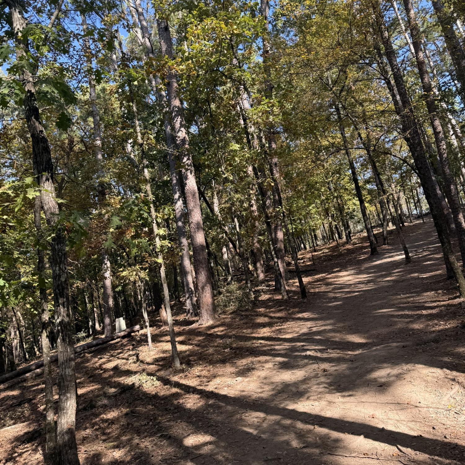 The perfect place for a proposal!