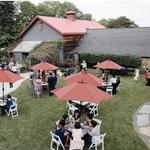 Red Maple Vineyard