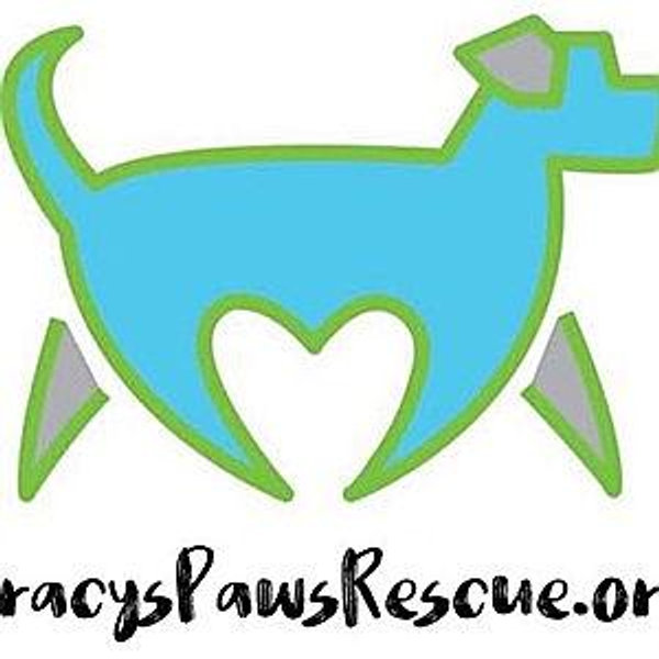 Tracy's Paws Fund