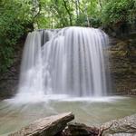 Hayden Falls Park