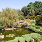 The Huntington Library, Art Museum, and Botanical Gardens