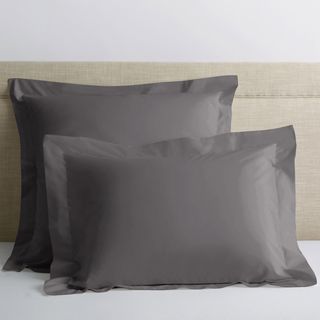 Company Cotton Percale Euro Sham