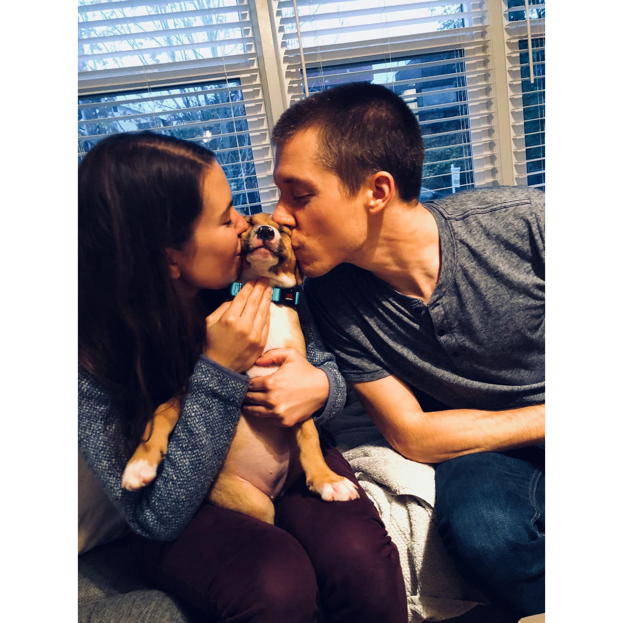 The day Alan and Laura adopted their first fur child - Harper.