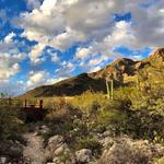 Pima Canyon Trail 🏞