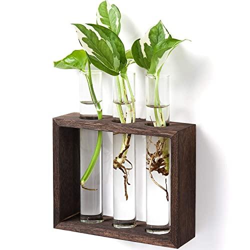 Mkono Wall Hanging Glass Planter Plant Terrarium Modern Flower Bud Vase in Wood Stand Rack Tabletop Terrarium for Propagating Hydropoinc Plants, Home Office Decoration with 3 Test Tube, Small, Brown