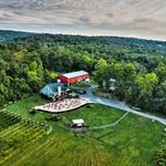 Red Heifer Winery