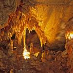 Mammoth Cave National Park