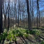 Cincinnati Nature Center