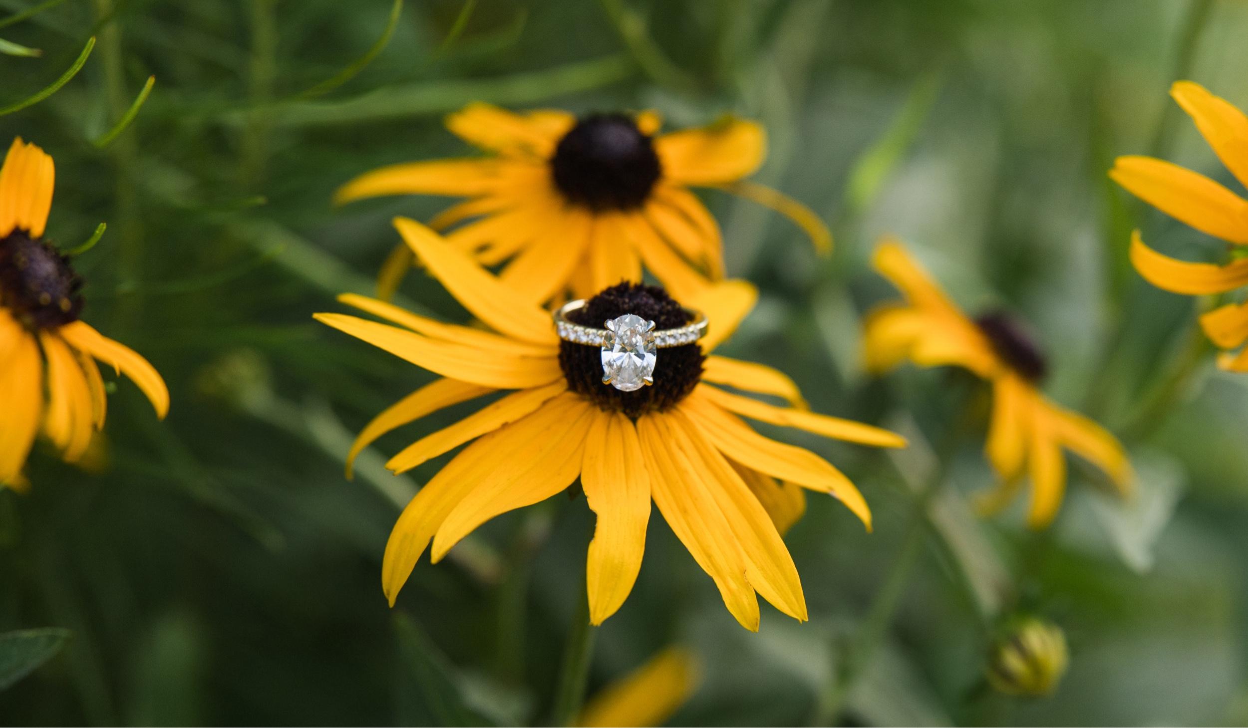 The Wedding Website of Virginia Moore and David McGuire