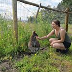 Kangaroo Creek Farm